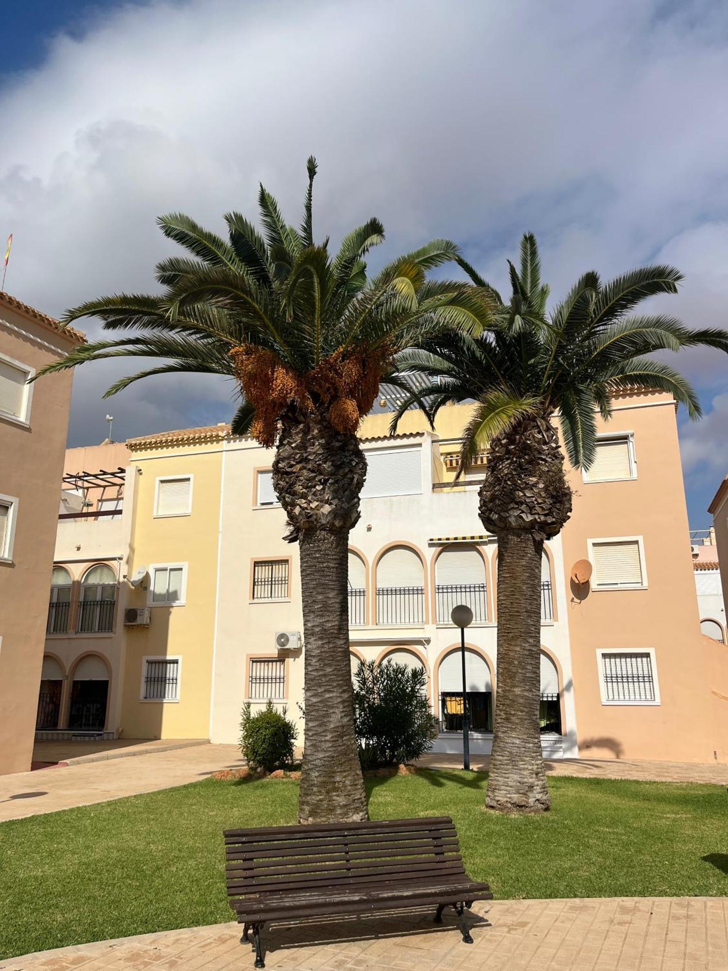 Torrevieja 2 Bedrooms Appartment Екстер'єр фото