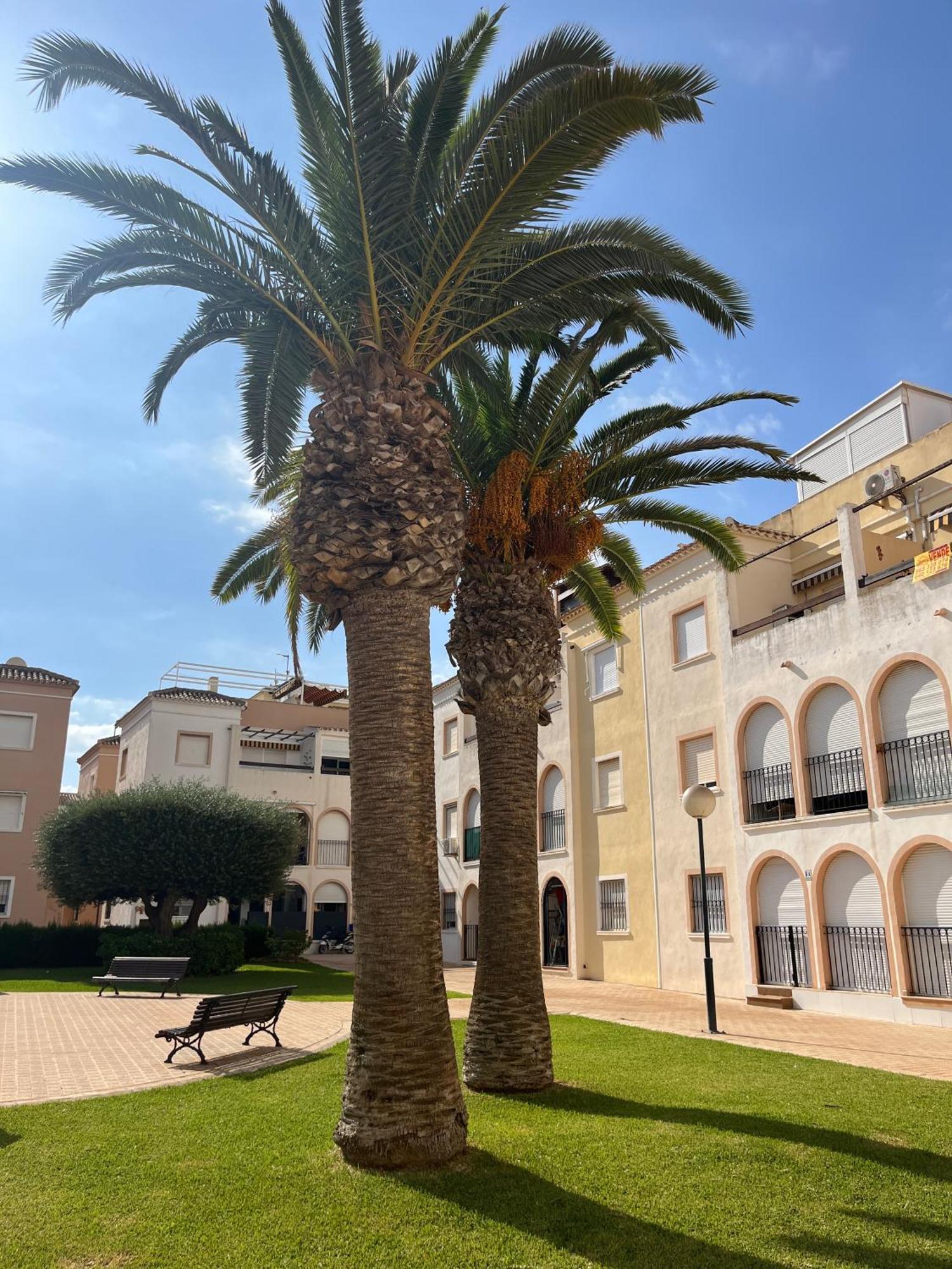 Torrevieja 2 Bedrooms Appartment Екстер'єр фото