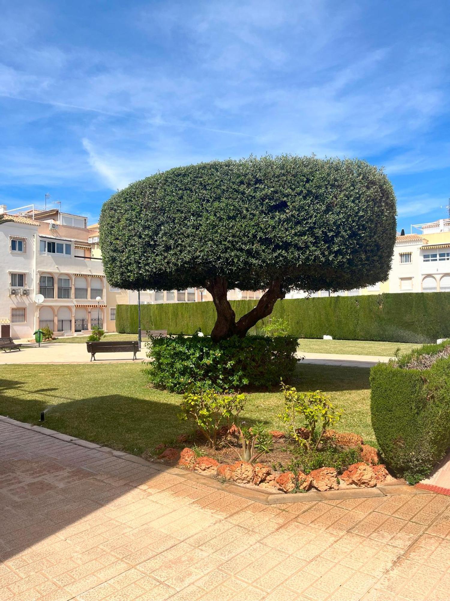Torrevieja 2 Bedrooms Appartment Екстер'єр фото